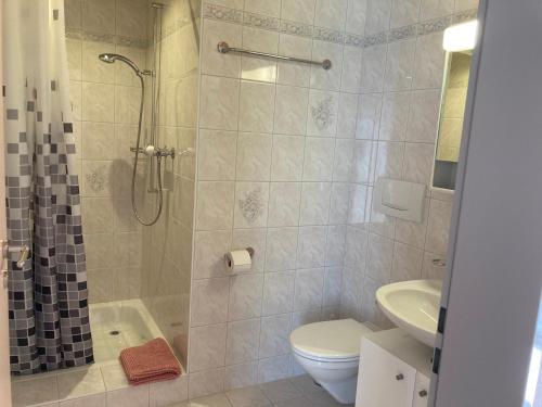 BignascoCà Maria的带淋浴、卫生间和盥洗盆的浴室
