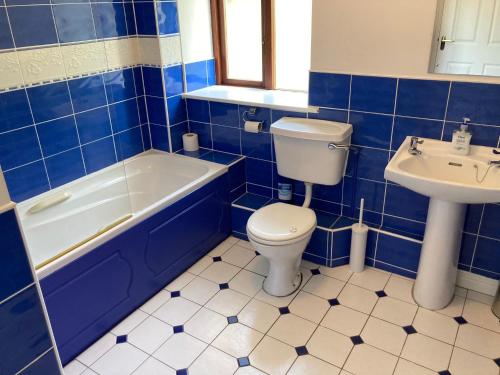 科克Beautiful & Quiet Countryside Setting in Kinsale的蓝色瓷砖浴室设有卫生间和水槽