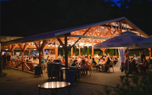 奥多尔黑塞库耶斯克Septimia Hotels & Spa Resort的一群人晚上坐在餐馆的桌子上