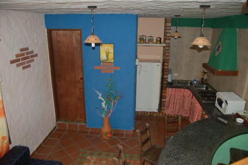 MéridaCabañas Falconia的厨房设有蓝色的墙壁和植物花瓶