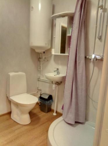 维尔扬迪TäheMaja5的一间带卫生间和水槽的浴室