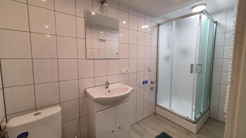 SzydłowiceSilence Villa的一间带水槽、卫生间和淋浴的浴室