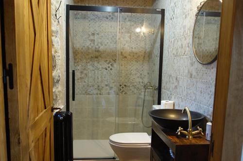 Asín de Broto公证处酒店的带淋浴、卫生间和盥洗盆的浴室