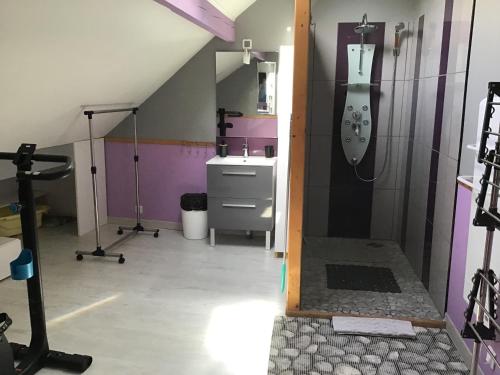 Mousseaux-sur-SeineMaison calme et fonctionnelle的带淋浴和盥洗盆的浴室