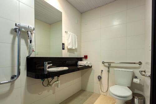 南卡希亚斯Travel Inn Axten Caxias do Sul的一间带卫生间、水槽和镜子的浴室