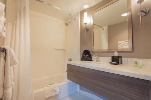 安纳海姆Sonesta Anaheim Resort Area的一间带水槽、浴缸和镜子的浴室