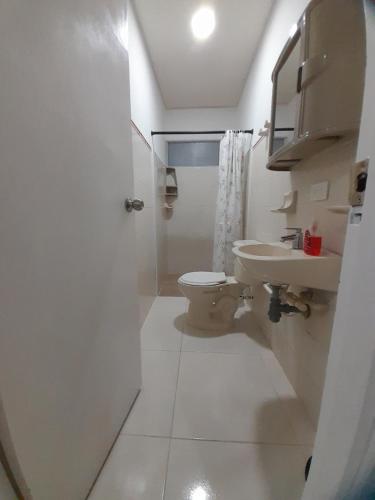 卡塔赫纳Apartaestudio Cartagena的白色的浴室设有卫生间和水槽。