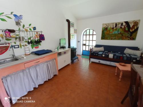 龙奇廖内La Casa dei Daini的厨房以及带水槽和沙发的客厅。