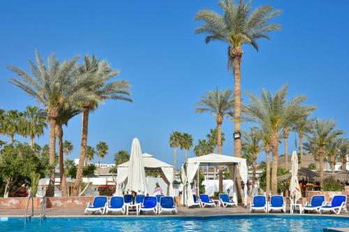 Seti Sharm Palm Beach Resort Families and couples only内部或周边的泳池