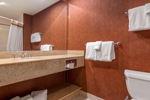 NewburyMountain Edge Suites at Sunapee, Ascend Hotel Collection的一间带水槽、卫生间和镜子的浴室