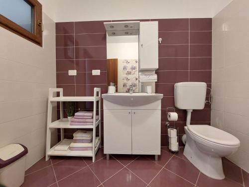 巴尔巴特纳拉布Apartments Amfora的一间带水槽和卫生间的浴室