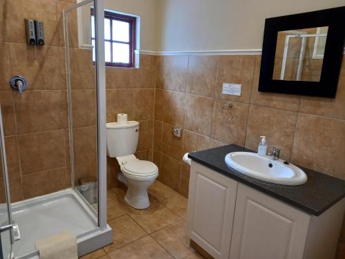 格拉罕镇137 High Street Guest House的浴室配有卫生间、盥洗盆和淋浴。