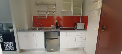 塞维利亚Apartamento Fibes y Congresos的一间带水槽和微波炉的小厨房