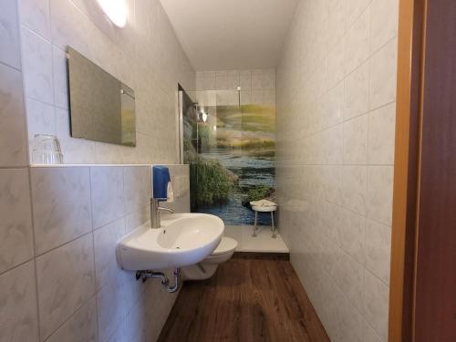 瓦伦阿姆啤酒坊酒店的一间带水槽的浴室和一个带壁画的卫生间。