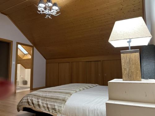 佩尼亚什达绍迪Estrela da Montanha的一间卧室配有一张带灯和天花板的床
