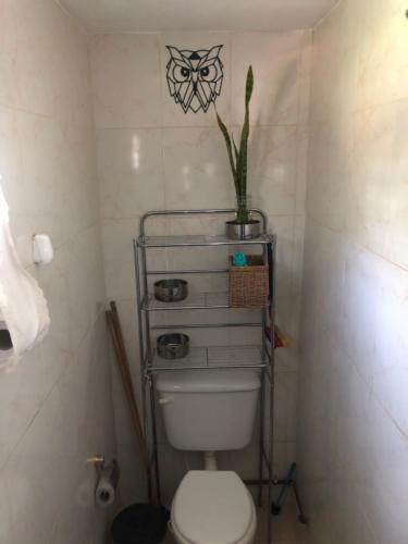ReyesROMA的浴室设有卫生间,上面有植物