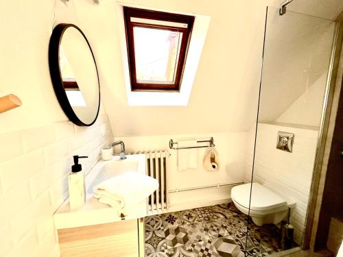 希伯维列Sous les toits avec garage et terrasse à Ribeauville的一间带卫生间和镜子的浴室