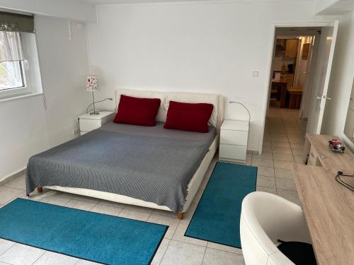 柏林Messe Apartment Berlin的一间卧室配有一张带红色枕头的床和浴缸