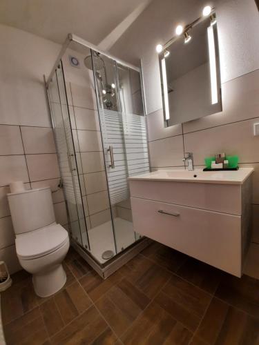 菲希特尔山区巴特贝内克Hotel Pension Blüchersruh的浴室配有卫生间、淋浴和盥洗盆。