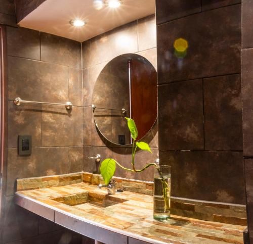 梅洛Hotel Valle Del Sol的一间带水槽和镜子的浴室