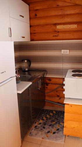 KuršumlijaVikendice Mijajlović 1的一间带冰箱和炉灶的小厨房