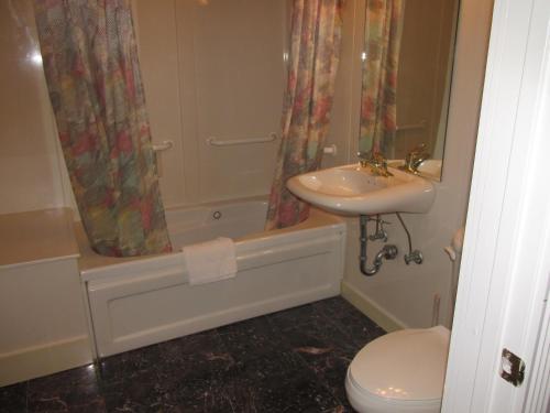AbbevilleDucote-Williams House的一间带水槽、淋浴和卫生间的浴室