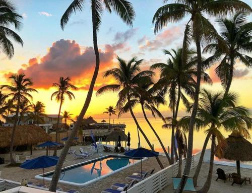 伊斯拉莫拉达Drop Anchor Resort & Marina的拥有游泳池和棕榈树的度假村,享有日落美景