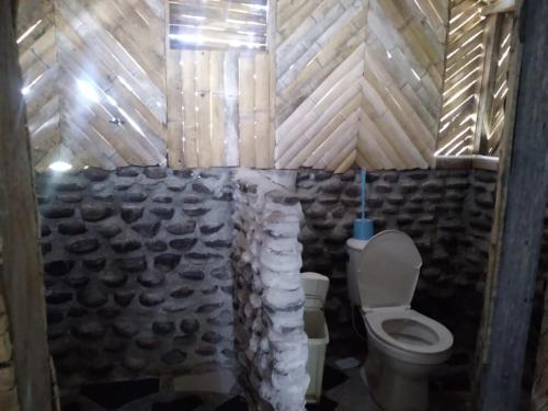 比利亚维哈Mirador Valle de la Tatacoa的一间带卫生间和岩石墙的浴室