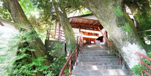 箱根Kappa Tengoku的通往一棵树的建筑的楼梯