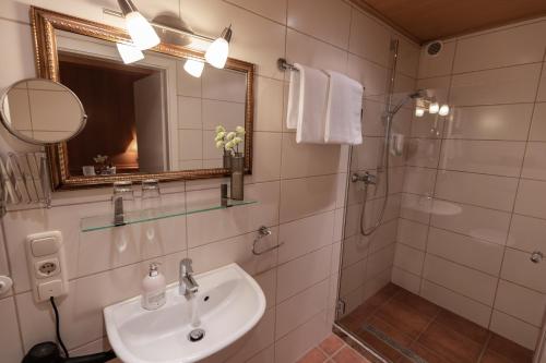 InsulLandhotel Ewerts的一间带水槽、淋浴和镜子的浴室