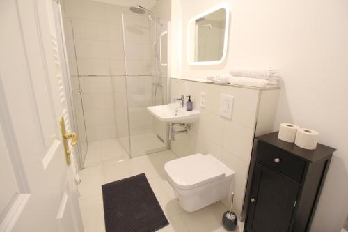 德累斯顿Zu Besuch im Palast - Perfekte Lage的浴室配有卫生间、盥洗盆和淋浴。