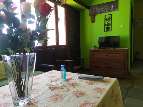 米洛帕莫斯Apartments in Mylopotamos的花瓶,花瓶,桌子上放着电视机