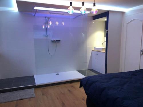 希伯维列Art & Bretzel的带淋浴的浴室和客房内的一张床