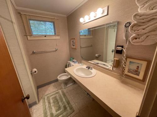 伊斯特姆Midway Motel & Cottages的一间带水槽、卫生间和镜子的浴室