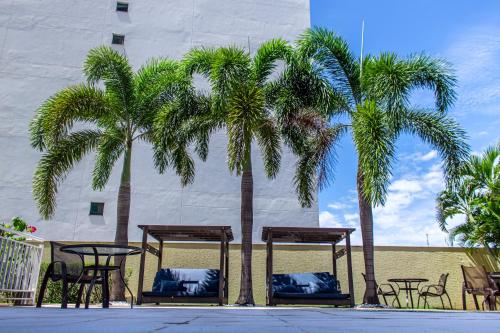 库亚巴代尔蒙酒店的两棵棕榈树,在一座建筑前摆放着桌椅