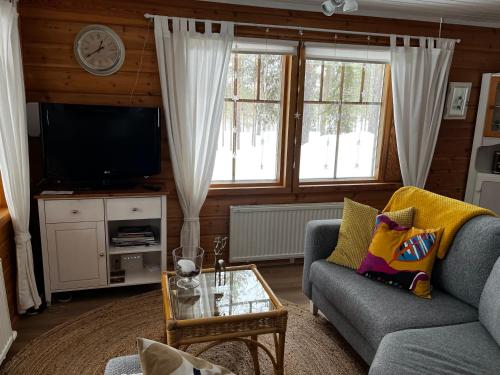 PelkosenniemiPyhä Saukonpiilo的带沙发和电视的客厅