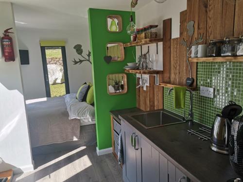 BalfronThe Wee Den的厨房设有水槽和绿色的墙壁
