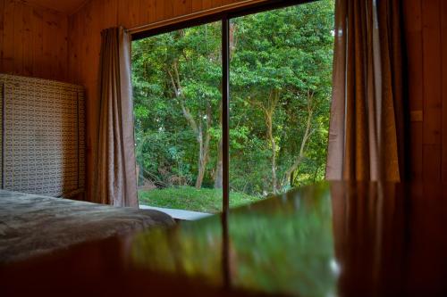 蒙泰韦尔德哥斯达黎加Cabañas Lys的一间卧室设有享有森林美景的窗户