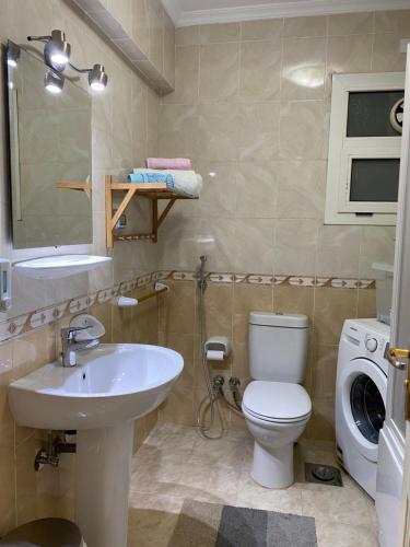 开罗Al-Rehab luxury apartment的浴室配有卫生间、盥洗盆和洗衣机。