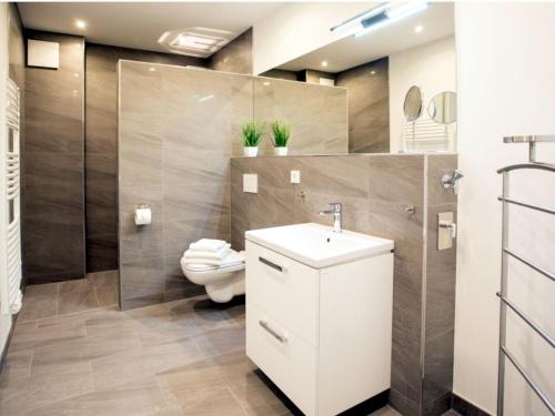 吕本Apartment in Lübben with parking space的一间带卫生间和水槽的浴室