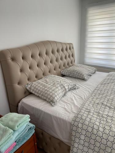 布鲁塞尔Résidence la floraison的卧室内的一张带两个枕头的床
