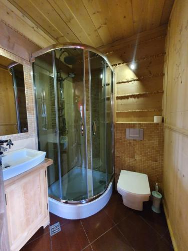 波罗宁Domek Góralski Chatka Puchatka的带淋浴、卫生间和盥洗盆的浴室