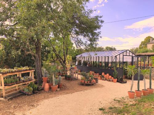 CressensacLe Cactus Orange Appartement 2 à 4 personnes avec entrée indépendante的种植了盆栽植物和温室的花园
