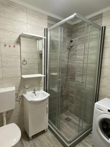 采蒂涅Apartmani Vila的带淋浴、卫生间和盥洗盆的浴室