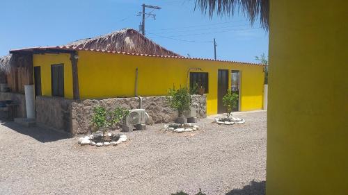 洛雷托La Regional的前面有两株盆栽植物的黄色建筑