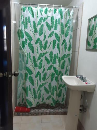 洛雷托La Regional的浴室配有淋浴帘和盥洗盆。