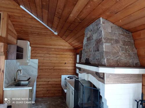 西格伏沙尔克Вила Хоризонт的房屋内的厨房设有石制壁炉