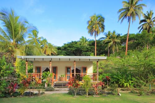 WaiyevoSau Bay Resort & Spa的前面有棕榈树的房子