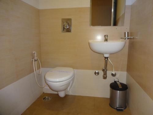 哥印拜陀天籁机场酒店的一间带卫生间和水槽的浴室
