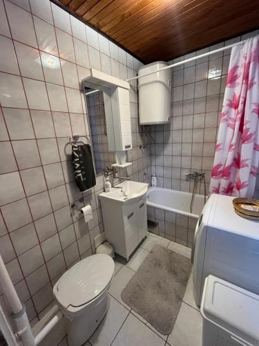 Apartman Palić Libero的一间浴室